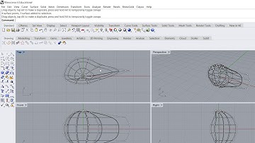 Rhinoceros Lesson 2 Duck Head