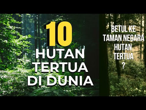 10 HUTAN TERTUA DI DUNIA, Pada Tangga ke Berapakah Kedudukan Taman Negara Malaysia