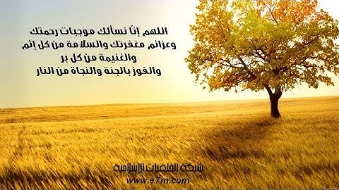 تلاوة رائعة سورة المجادلة الشيخ ياسر الدوسري www.qoranet.net