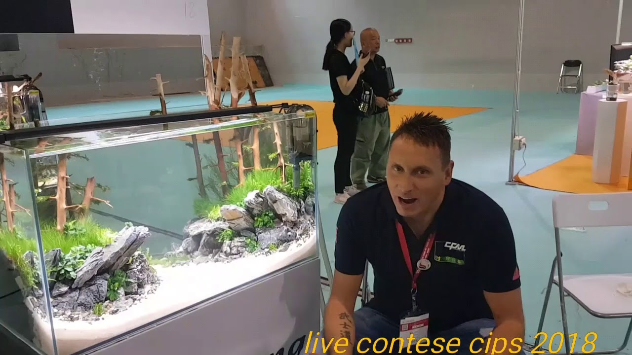 CIPS LIVE CONTEST AQUARIUM CHINA 2018