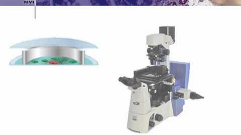 Laser Microdissection: Living Cells in MMI CellChamber