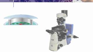 Laser Microdissection: Living Cells in MMI CellChamber