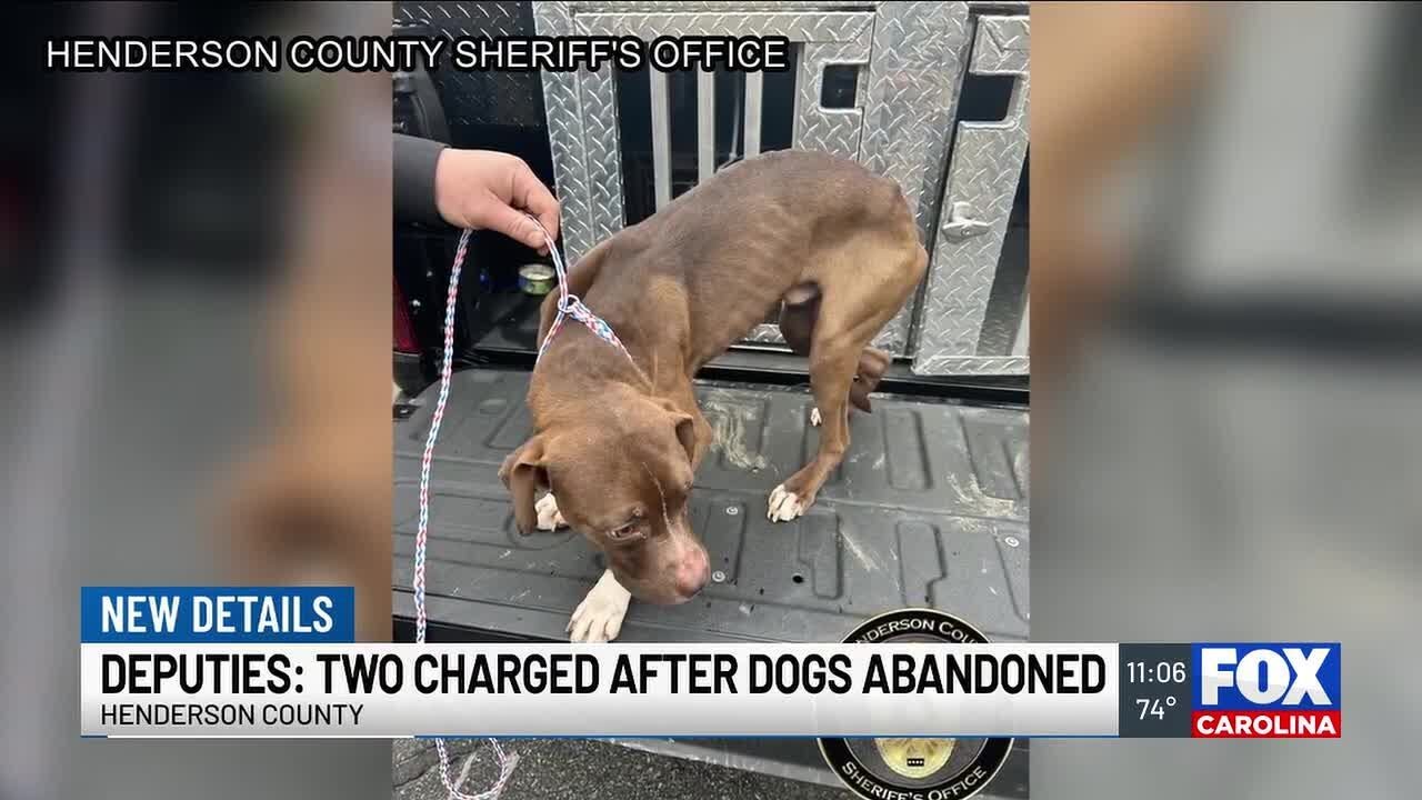 2 charged after abandoning dogs while moving out of WNC home, deputies ...