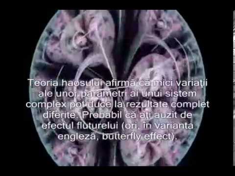 Video: Teoria Haosului Celular Splinter