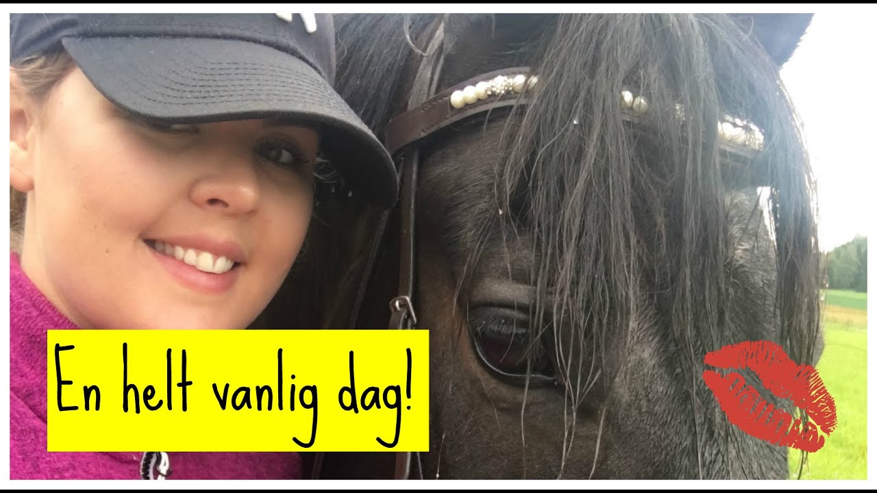 En vanlig dag i livet! Stallet, shopping, ica haul