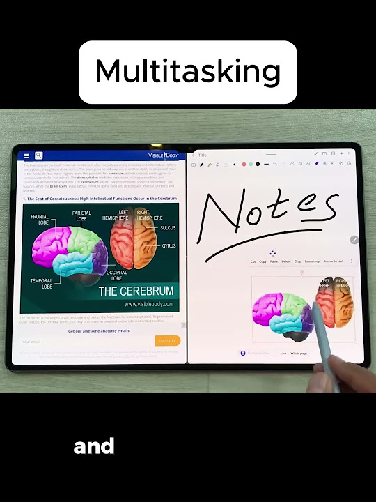 Unlock Multitasking Power on the Samsung Galaxy Tab S10 Ultra! 💪 - YouTube