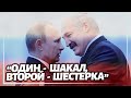 Ветеран войны резко высказалась о Путине и Лукашенко