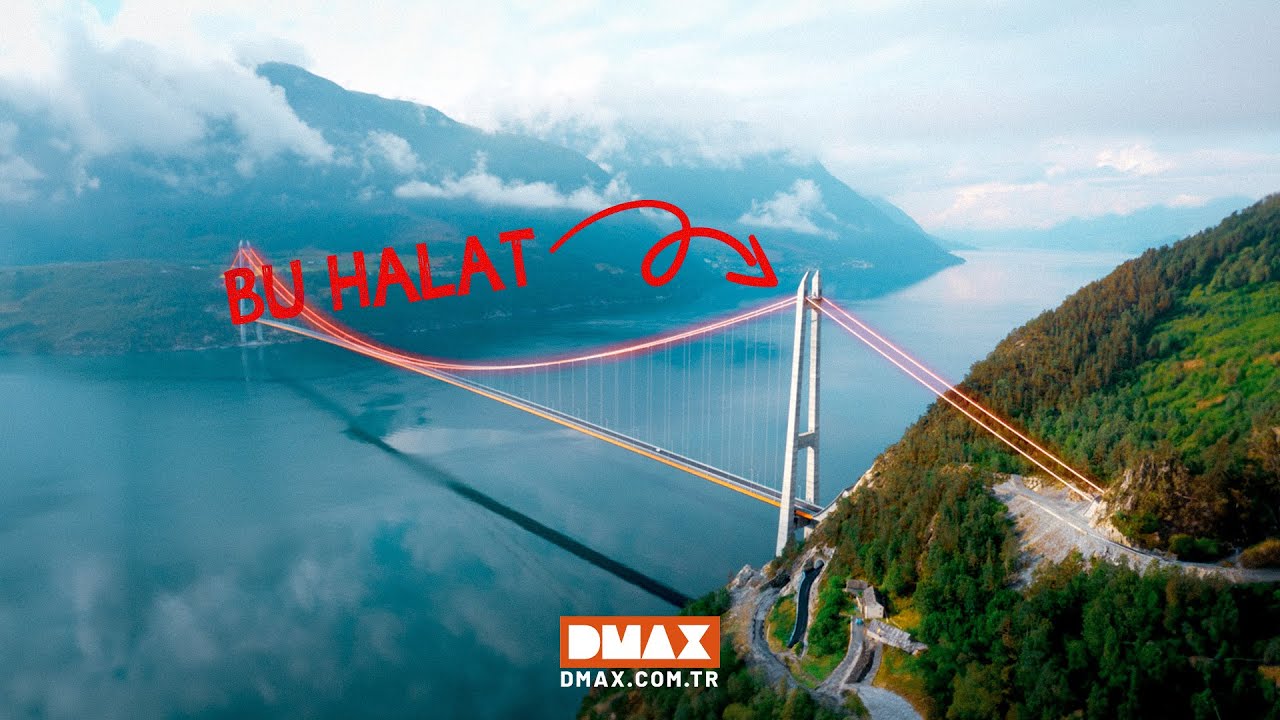 Bu Halat Dev Köprüleri Taşıyor!