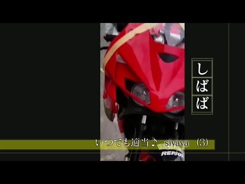 プロフェッショナル仕事の流儀「いつでも適当♪sivava」