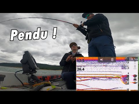 Une session sandre qui tourne silure