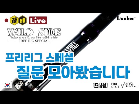 <strong>폭설</strong> 한 방에 벚꽃 이야기 사라져 충격  [꿀배Live Vol.316]
