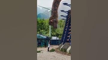 A Real Dinosaur in My Backyard?