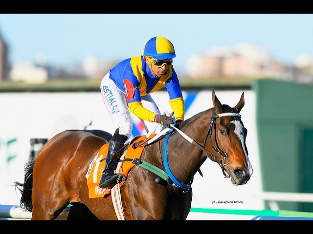 Gran Premio Estrellas Juvenile Fillies (G1) 2026 - Unica Forma (Full Mast)