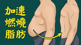 加速燃燒脂肪,神奇7方法,柏格醫生 Dr Berg