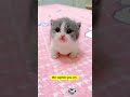 Can I warm your cold feet #adorable #puppy #cute