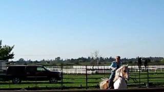 Ranch Sorting 2009