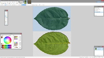 Making  a tree - part 2 Leaves texturing Modelling Stream 23.06.2016