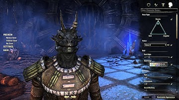 Elder Scrolls Online Beta - Male Argonian Character Creation