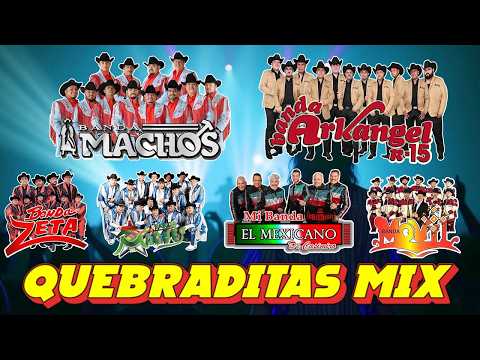 QUEBRADITA 90'S PARA BAILAR | BANDA MIX " Banda El Mexicano , Banda Machos, Toro , Zeta ...y Más "