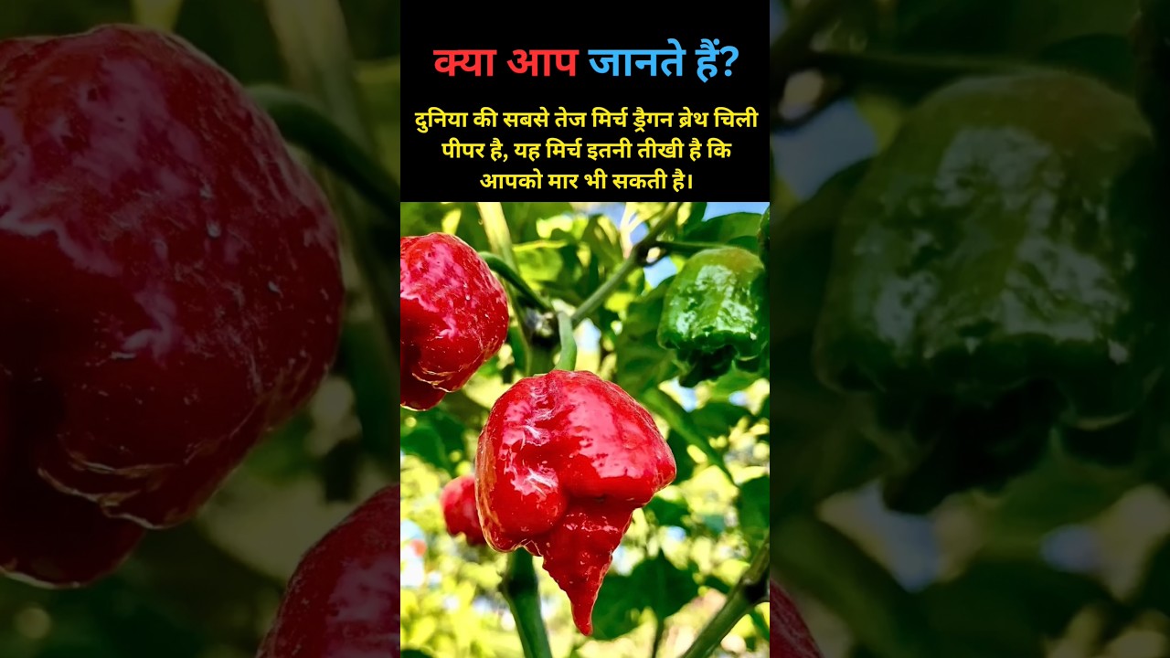 Amazing Facts About The World 