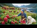 Peaceful Life of an Elderly Couple in an Isolated Village — Berries, Cheese & Fishing