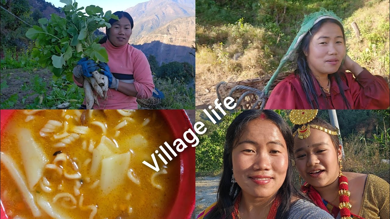 #villagevlog ysarinai bitdai x hau gaule jeevan keep supporting guys #for you #youtube #vlog #