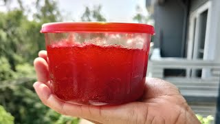 plum jam| Homemade plum jam घर का बना आलूबुखारा जेम