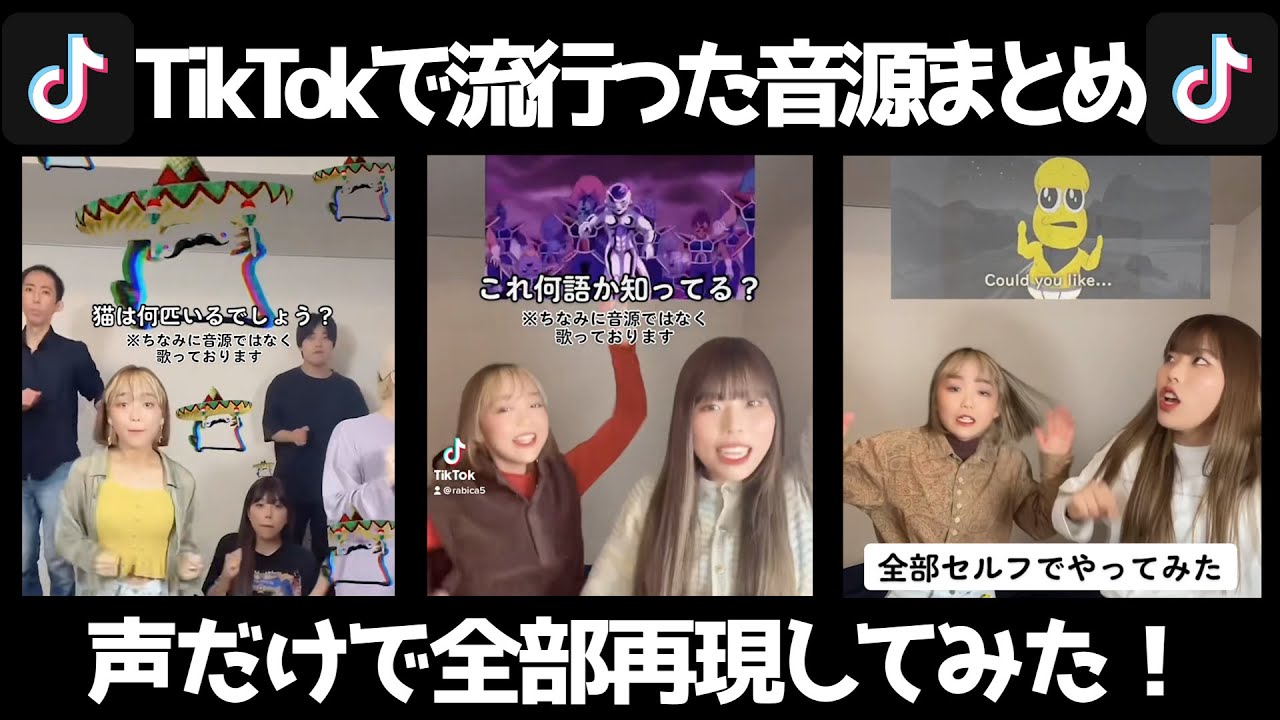 全曲知ってたらすごい！【TikTokで流行った音源たち】を声だけで再現してみた！ Rabbit Cat