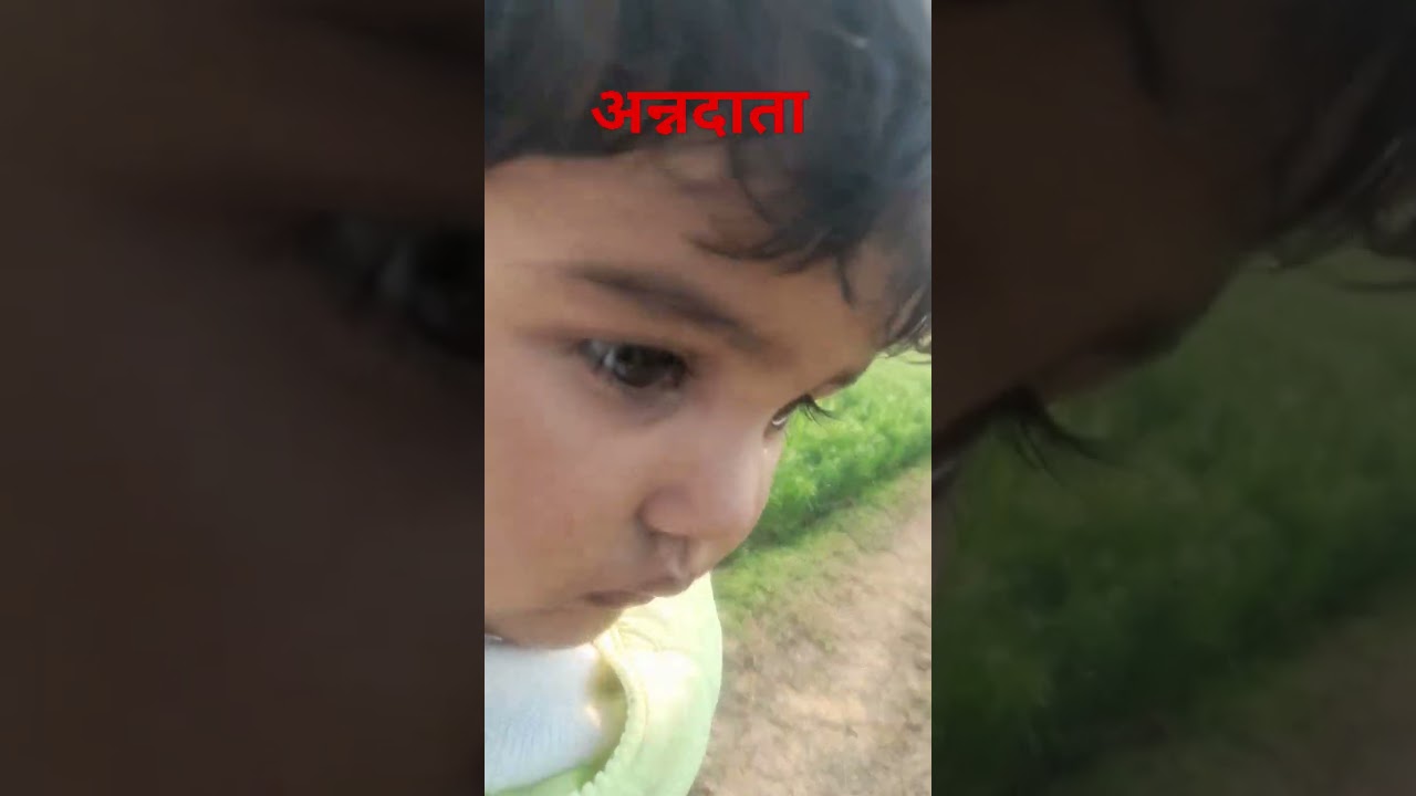 Meet the Best Wheat Farmer in Haryana: Success Story & Tips