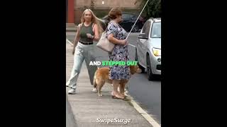 Drivers Ignored Her, So She Stopped Traffic 🛑❤️
