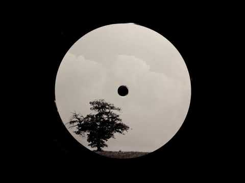 Eversines — In Vivid Motion - Eversines | Wex [2019]