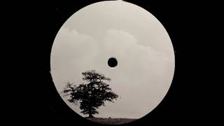 In Vivid Motion - Eversines | Wex [2019]