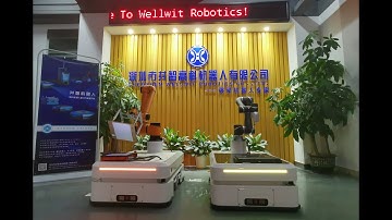 Wellwit Robotics Compound robot （Cobot+AMR+Vision）