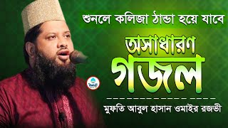 সুরলিত কন্ঠে মন জুড়ানো অসাধারণ গজল । Mufti Abul Hasan Omair Rezvi | Taqwa Tv