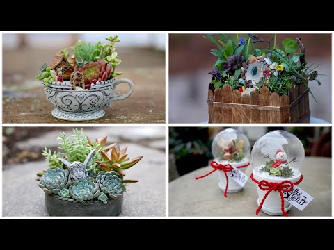 Video: Teacup Fairy Garden Idei – Sfaturi despre creșterea plantelor de grădină cu ceașcă de ceai