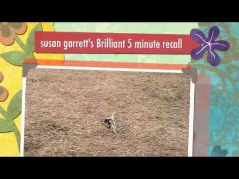 susan garrett's Brilliant 5 minute recall