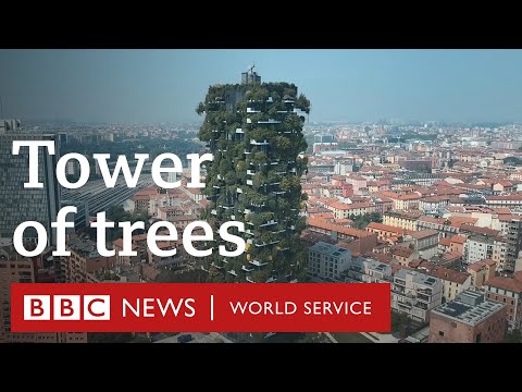 Videó: Milánó Bosco Verticale, hivatalosan a leginnovatívabb legmagasabb színvonal a világon