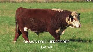 Lot 40