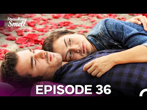 Strawberry Smell Episode 36