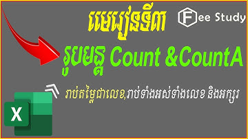 របៀបប្រើរូបមន្ត Count និង CountA |Free Study