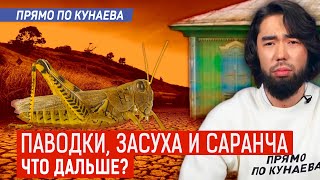 Нашествие Саранчи! Казахстанцев Ждёт Голод? Какие Еще Казни?