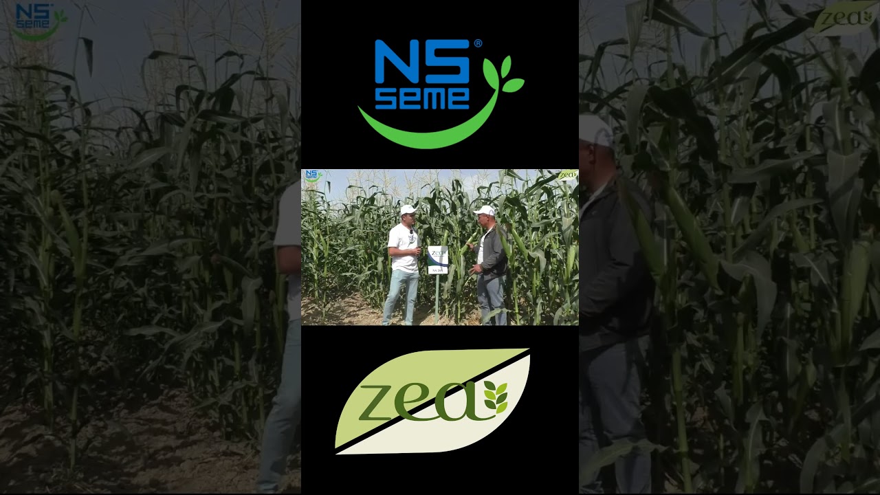 Сербия НС 205 F1 (тел +998993290080)