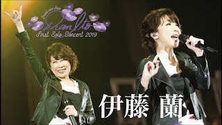 伊藤 蘭 ファースト・ソロ・コンサート 2019(STAY AT HOME ＆ WATCH THE MUSIC)