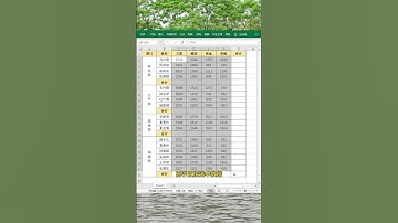 隔行求和#办公技巧 #每天学习一点点 #职场 #EXCEL #文员