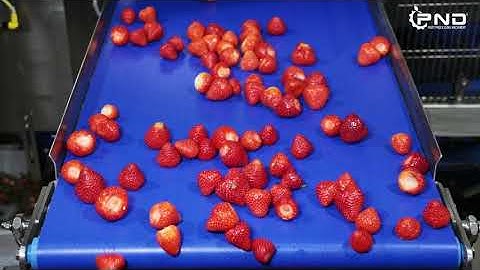 STRAWBERRY DE-CALYX MACHINE MOD.DF24