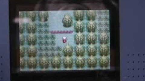 Pokémon Ruby playthrough part 2: May the amazing trainer