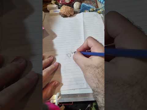 لماذا الأسماء الموجود فيها ضدا تبدأ 