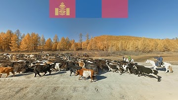 the great steppes of Mongolia