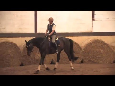Video: Polework-Übungen Für Pferde: Top-Reiter Teilen Ihre Favoriten