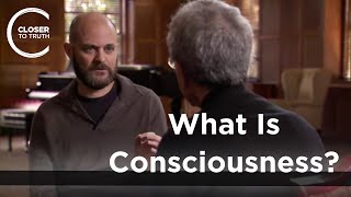 Tim Bayne - What Is Consciousness?
